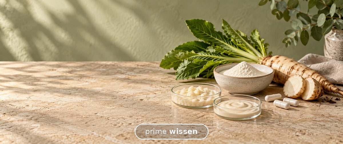 Chicorée, Inulinpulver und Kulturen als Sinnbild für Präbiotika und Probiotika