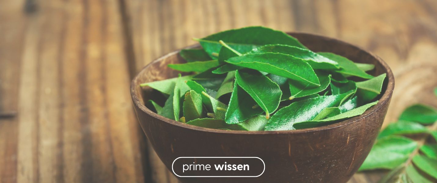 Eisen aus Curryblatt: Die unterschätzte pflanzliche Alternative zu Eisensulfat