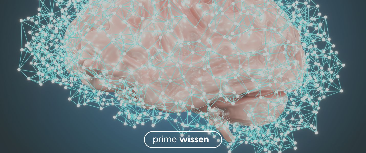 Brainpower aus der Natur